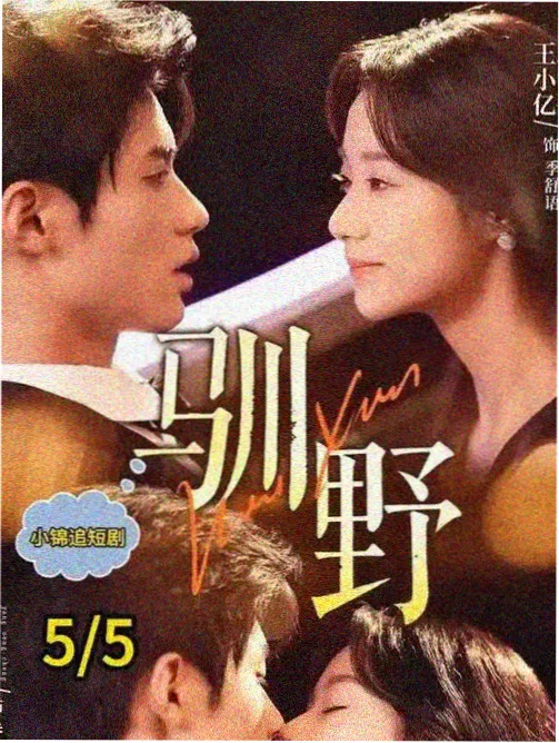 逆光而行 职场剧在线观看完整版海报